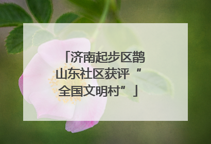 济南起步区鹊山东社区获评“全国文明村”